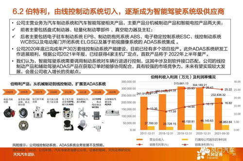 智能駕駛Tier 1國產(chǎn)替代趨勢下，系統(tǒng)集成供應(yīng)商迎來發(fā)展機(jī)遇